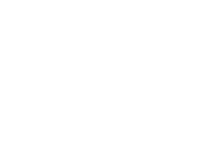 Expertise logo